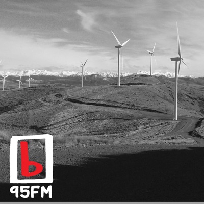 95bFM: The Green Desk