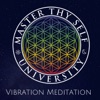 Master Thy Self - Vibration Meditation artwork