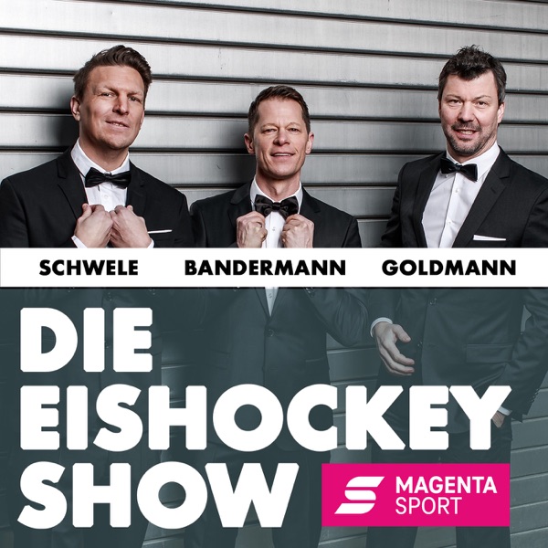 Die Eishockey Show