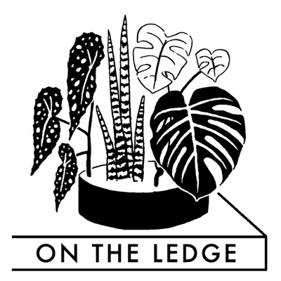 On The Ledge On The Ledge
