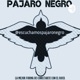 Pájaro Negro