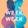 Week By Week artwork