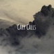 Cary Calls: American Born Chinese (ABC Gen 3)