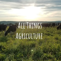 Calves, military, and RV cross country living. All Things Agriculture Podcast Episode 7: Amber Carey