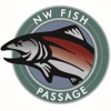 NW Fish Passage artwork