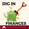 Dig In Finances artwork