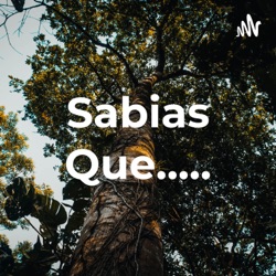 Sabias Que.....