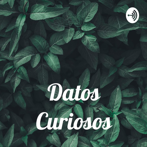 Datos Curiosos