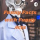 Funny Facts with Funny Acts