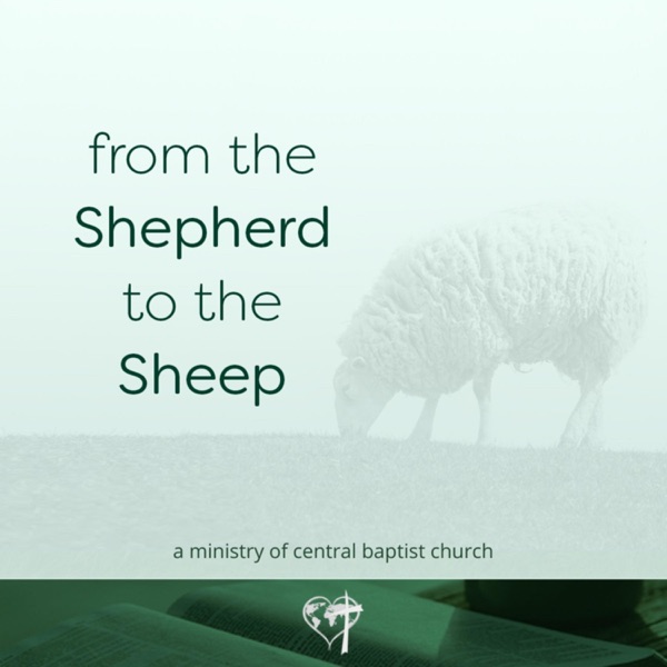 From the Shepherd to the Sheep, Daily Devotionals Artwork