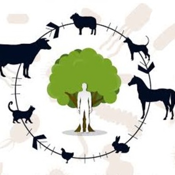 Enfermedades Bacterianas y Micóticas en Veterinaria