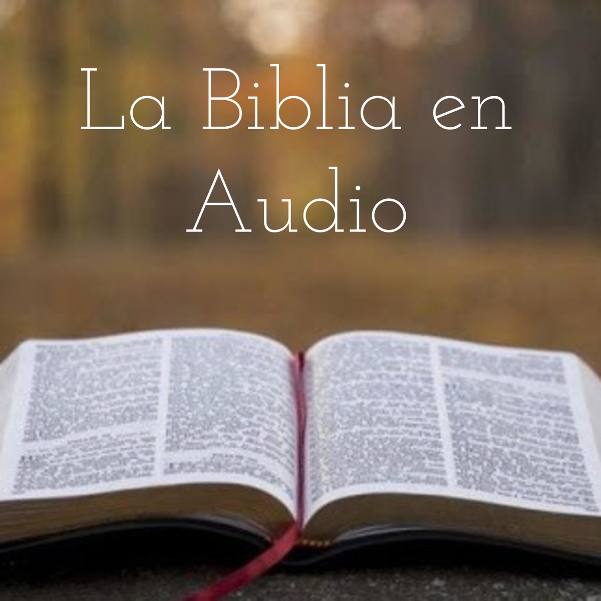 La Biblia en Audio – Podcast – Podtail