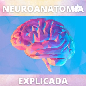 Neuroanatomia Explicada