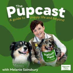 The Pupcast: a guide to puppy life and beyond