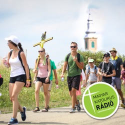 Beszélgetés Felföldi László pécsi megyéspüspökkel
| 72 óra kompromisszum nélkül
| Jöjj és láss - színdarab boldog Batthyány-Strattmann László életéről