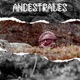 ANCESTRALES