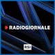 Radiogiornale - Edizione delle 12:30