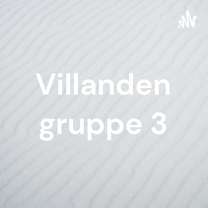 Villanden gruppe 3