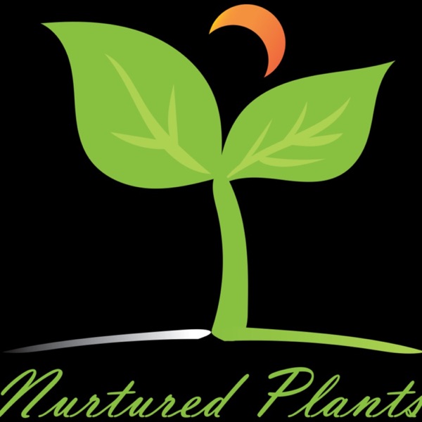 Nurtured Plants