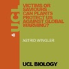 Victims or Saviours – Can Plants Protect Us Against Global Warming? - Audio artwork