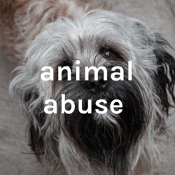 animal abuse 