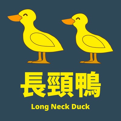 長頸鴨 Long Neck Duck