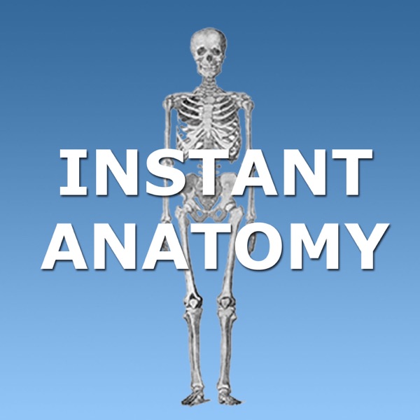 Instant Anatomy