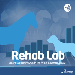 Rehab Lab Powered By The PiezoWave2T