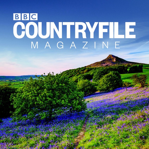 BBC Countryfile Magazine Artwork