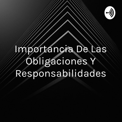 Importancia De Las Obligaciones Y Responsabilidades