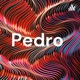 Pedro 