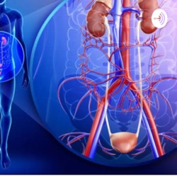 Sistema renal - Fisiologia 