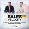 Sales Velocity artwork