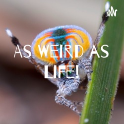 As Weird as Life!