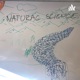 Natural science