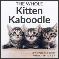 The Whole Kitten Kaboodle
