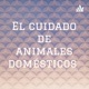 El cuidado de animales domésticos