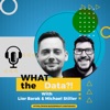 WHAT the Data?! artwork