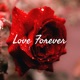 This episode is all about Love. You only find love poetry and love shayari written by Akhya Pandey.