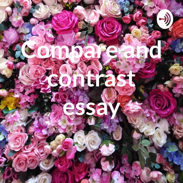 Compare and contrast essay 