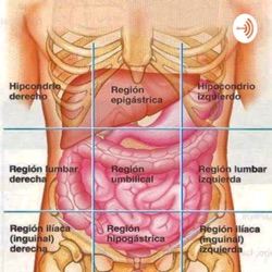 Cuadrantes abdominales 