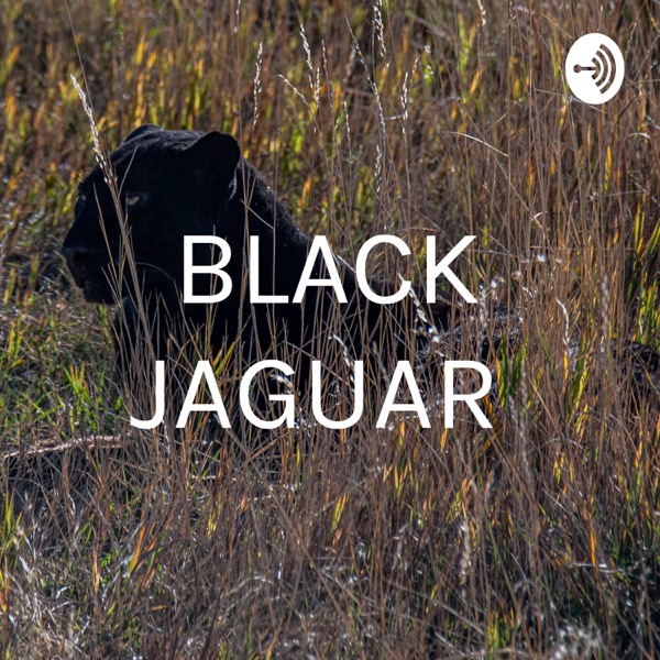 BLACK JAGUAR 