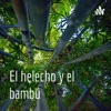 El helecho y el bambú