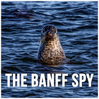 The Banff Spy Podcast The Banff Spy Podcast