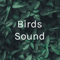 Birds sounds