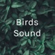 Birds sounds