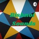 Bishnoi Sounds
