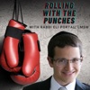 Rolling with the Punches with Rabbi Eli Portal  artwork