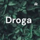 Droga 