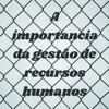 A importancia da gestão de recursos humanos - Alessandra